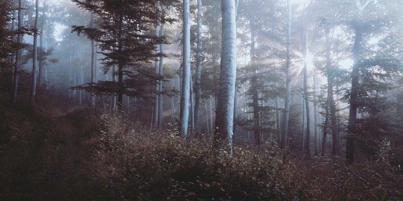 舒家楼宇20：智能安防系统如何重塑现代办公与居住安全新标准