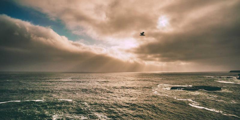 舒家楼宇3：楼宇自动化如何重塑现代安防与门禁系统新格局