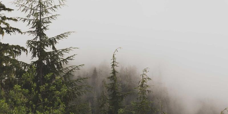 舒家楼宇58：楼宇自动化如何通过智能门禁系统重塑现代办公空间