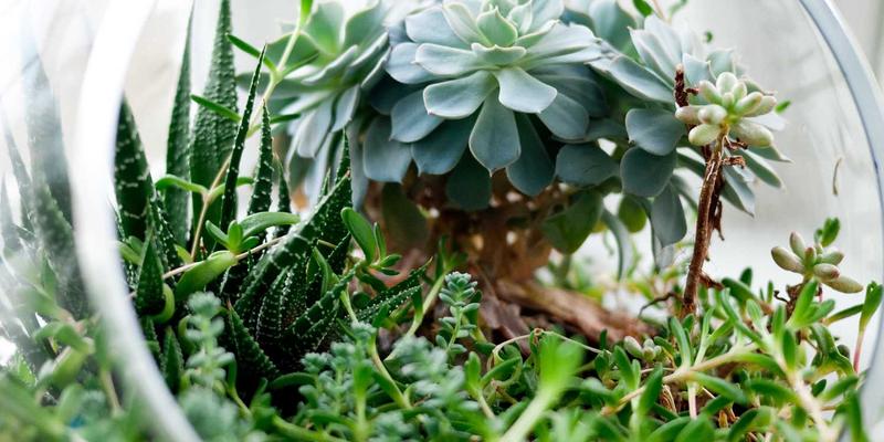 舒家楼宇64：智能安防工程如何重塑现代建筑安全新标杆