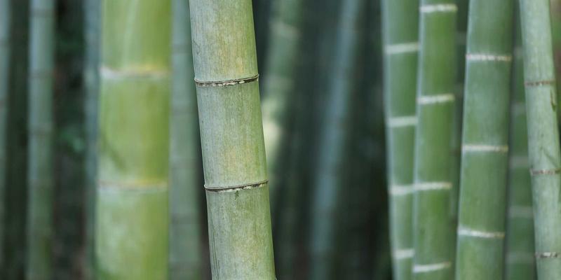 舒家楼宇86：以智能门禁与监控系统为核心的楼宇自动化解决方案