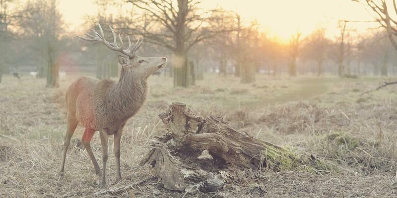 舒家楼宇94：以智能监控与自动化系统重塑现代楼宇安防新标杆