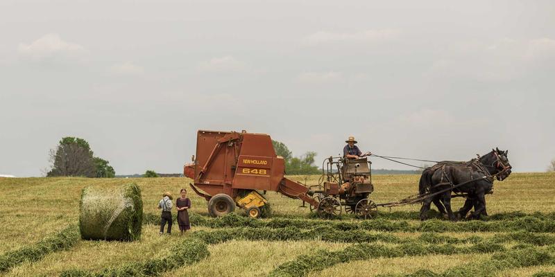 舒家楼宇如何利用BIM技术构建智能安防与全生命周期信息管理体系