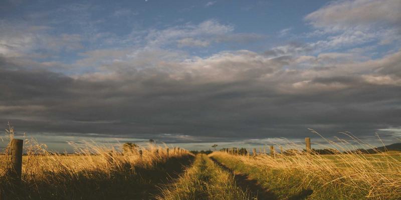 舒家楼宇如何通过智能电梯调度算法破解高峰期等待难题