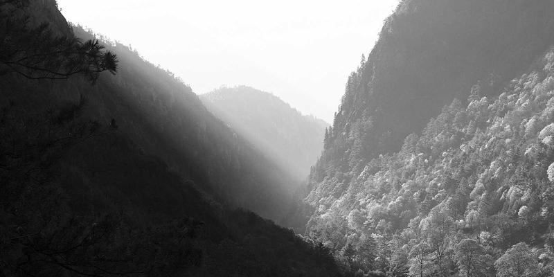 舒家楼宇智慧访客管理系统：如何通过线上预约、身份核验与路径追踪重塑现代楼宇安全