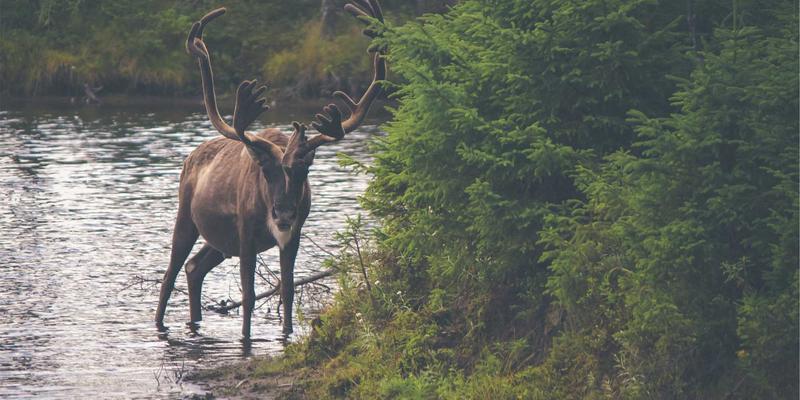 舒家楼宇自动化革命：如何通过传感器数据实现建筑结构健康监测与预防性安全维护